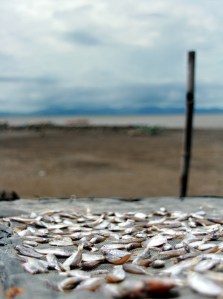 E.B. Magalona, a fishing village in Negros